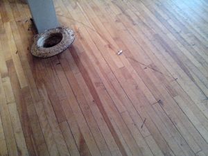 old lovers are like a hat fullof nails