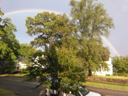 62470695_546591039209226_7684184722951372800_o